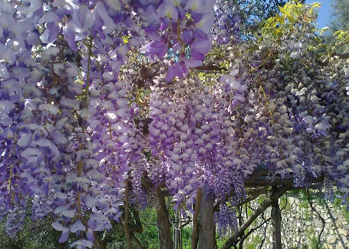 ベッド・アンド・ブレックファスト Le Ghiande 4*